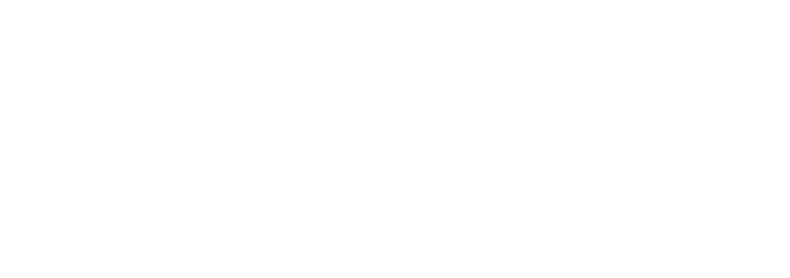 VERIFYiQ