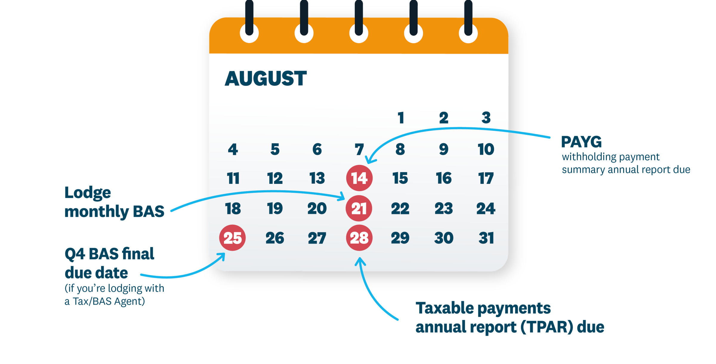A calendar showing key dates in August. An overview is in the description below.