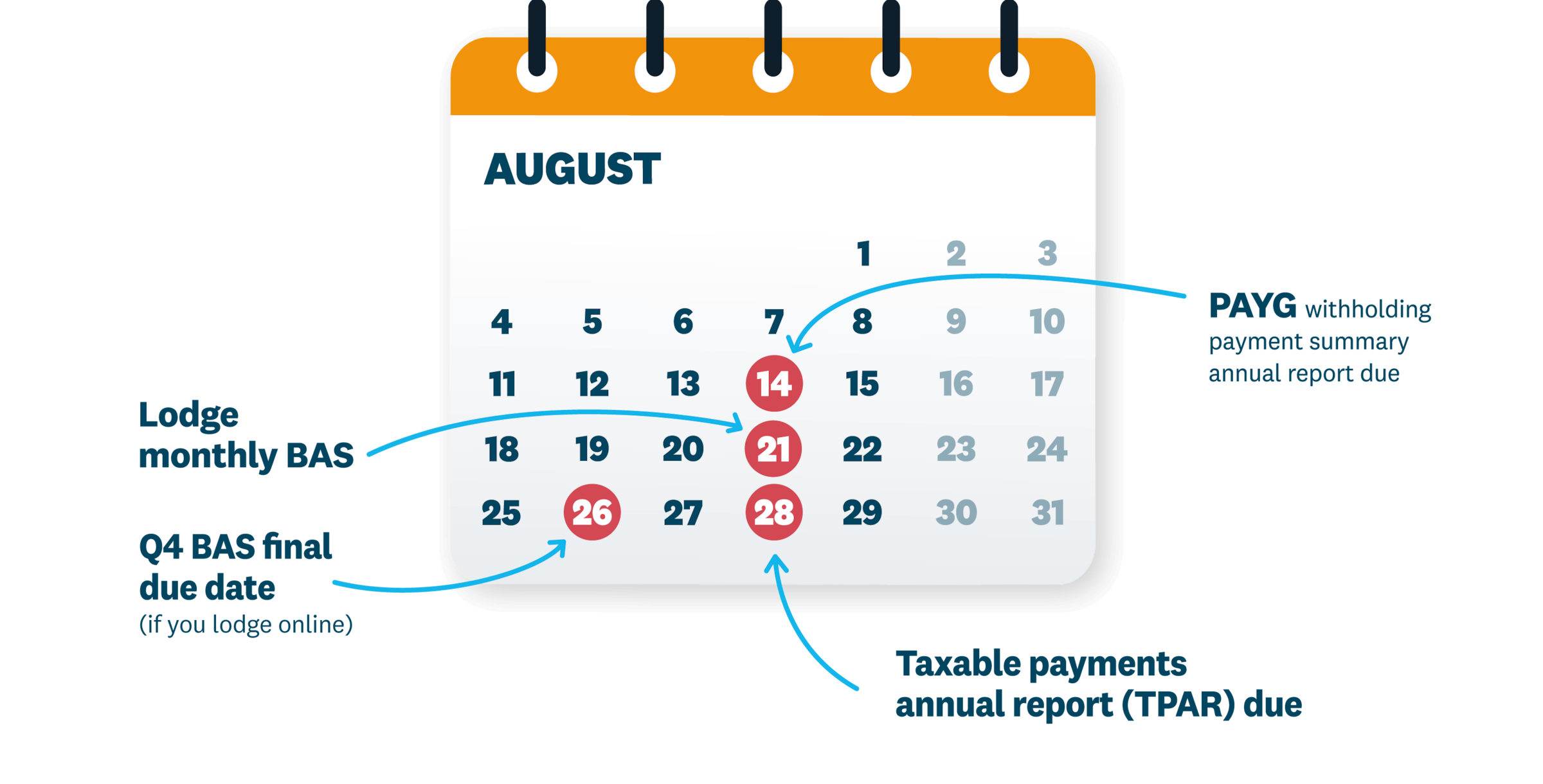 A calendar showing key dates in August. An overview is in the description below.