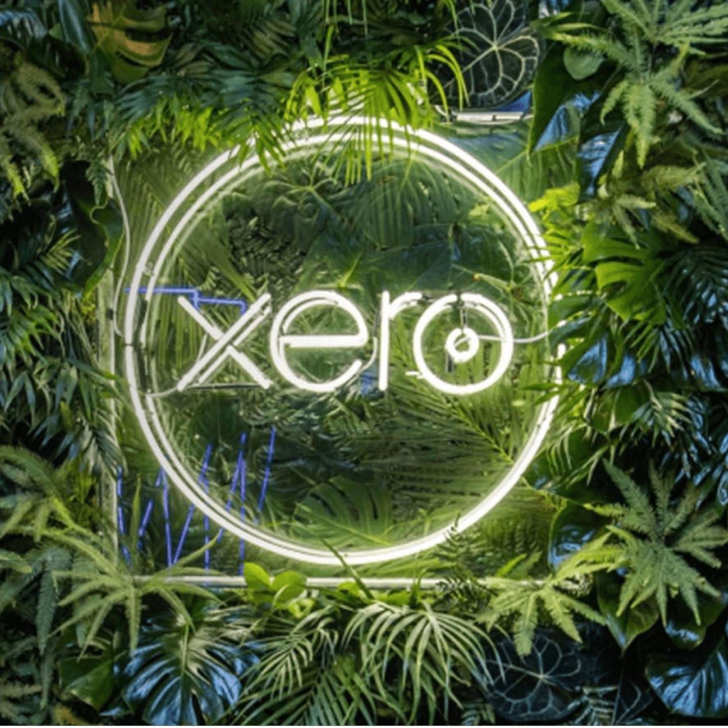 The Xero logo lights up against a background of greenery