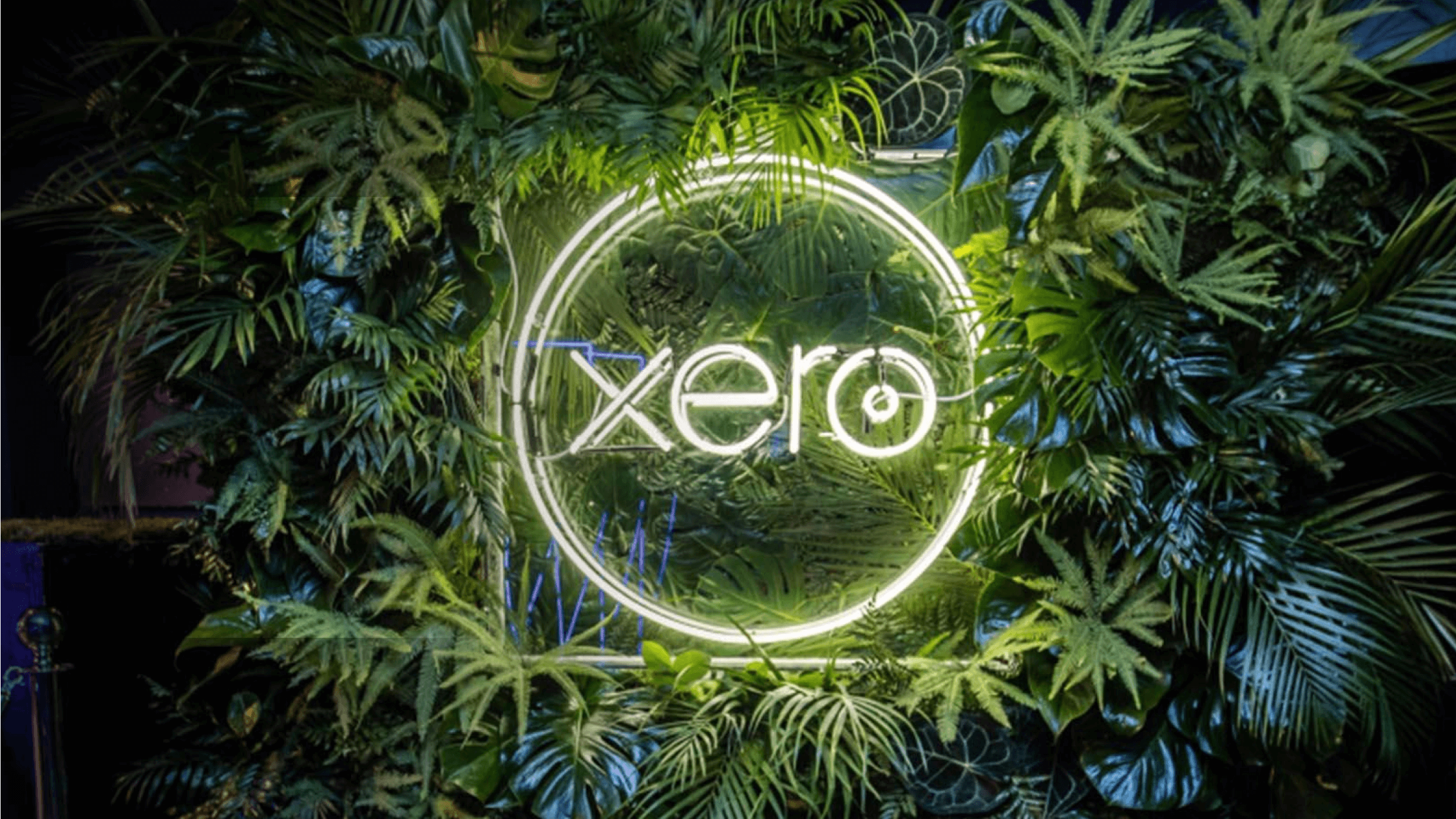 A Xero logo lights up against a backdrop of greenery in celebration of the many awards Xero has received. 