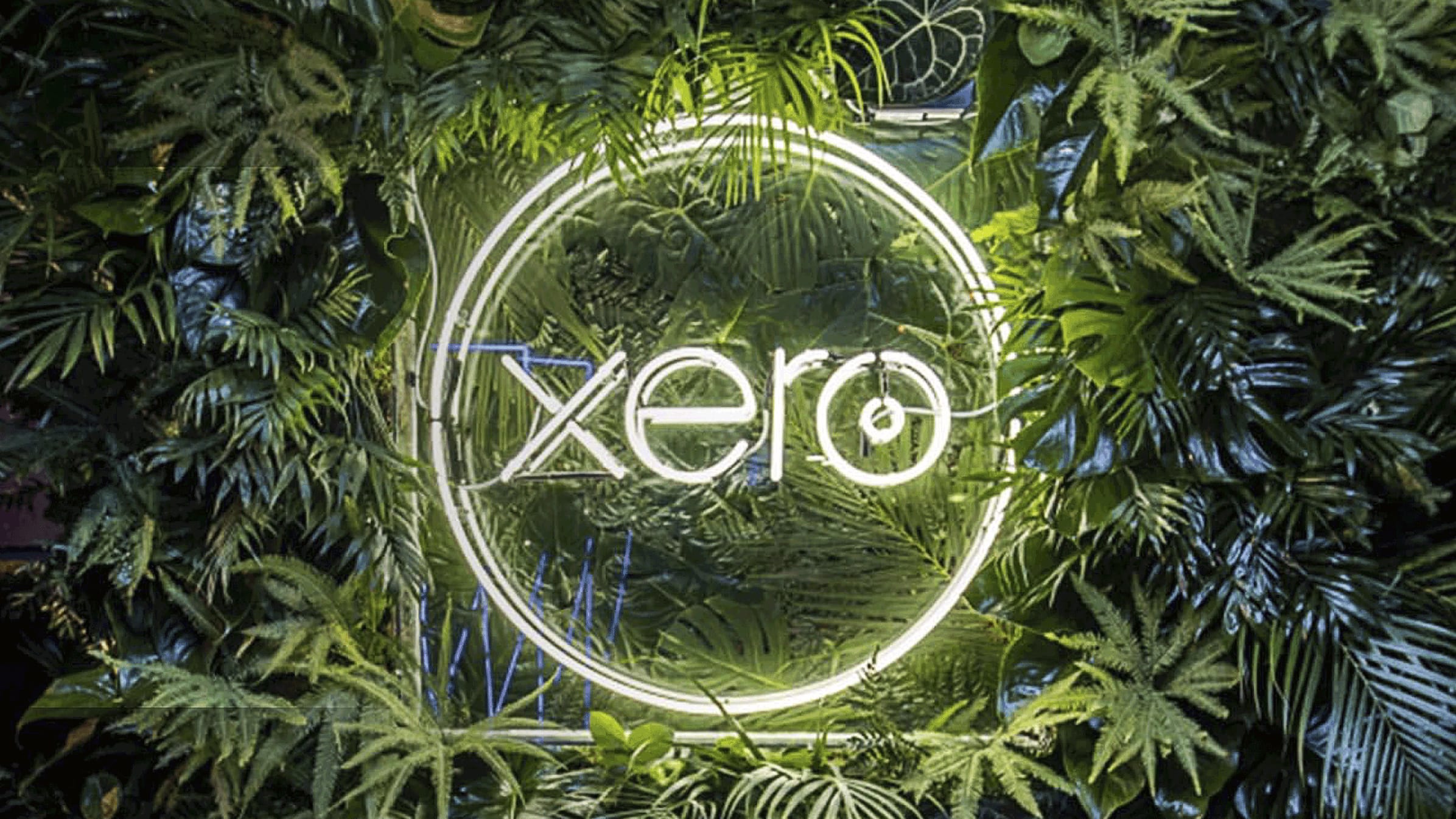 The Xero logo in neon lights against a foliage background.