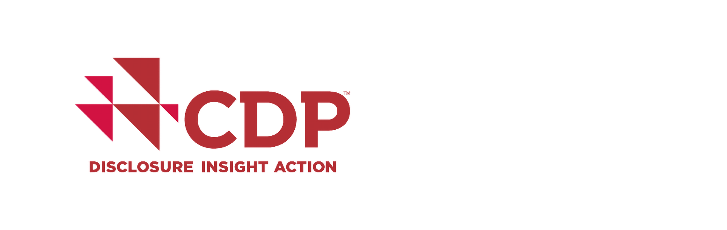 The CDP logo with the tagline ‘Disclosure, Insight, Action’.