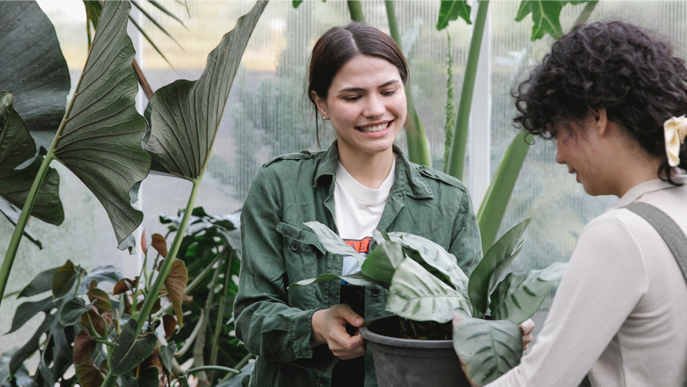 Two people carrying a plant pot together.