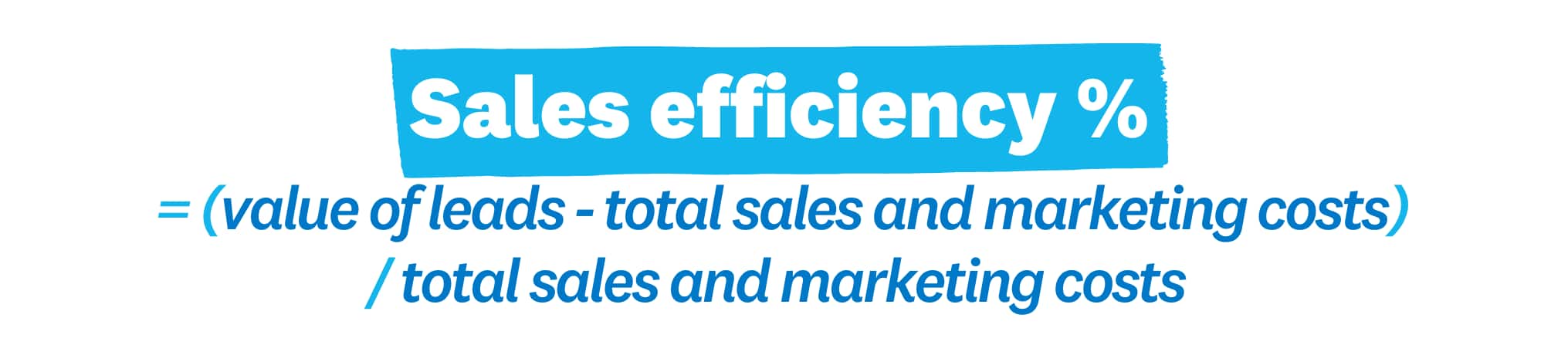 Image of text: "Sales efficiency % = (value of leads - total sales and marketing costs) / total sales and marketing costs