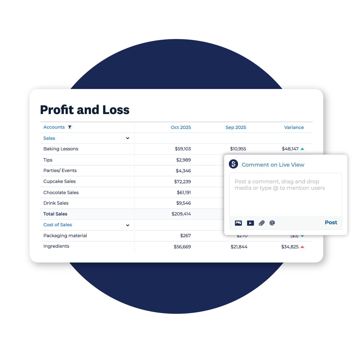 Profit and loss statements