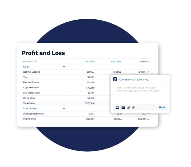 Profit and loss statements