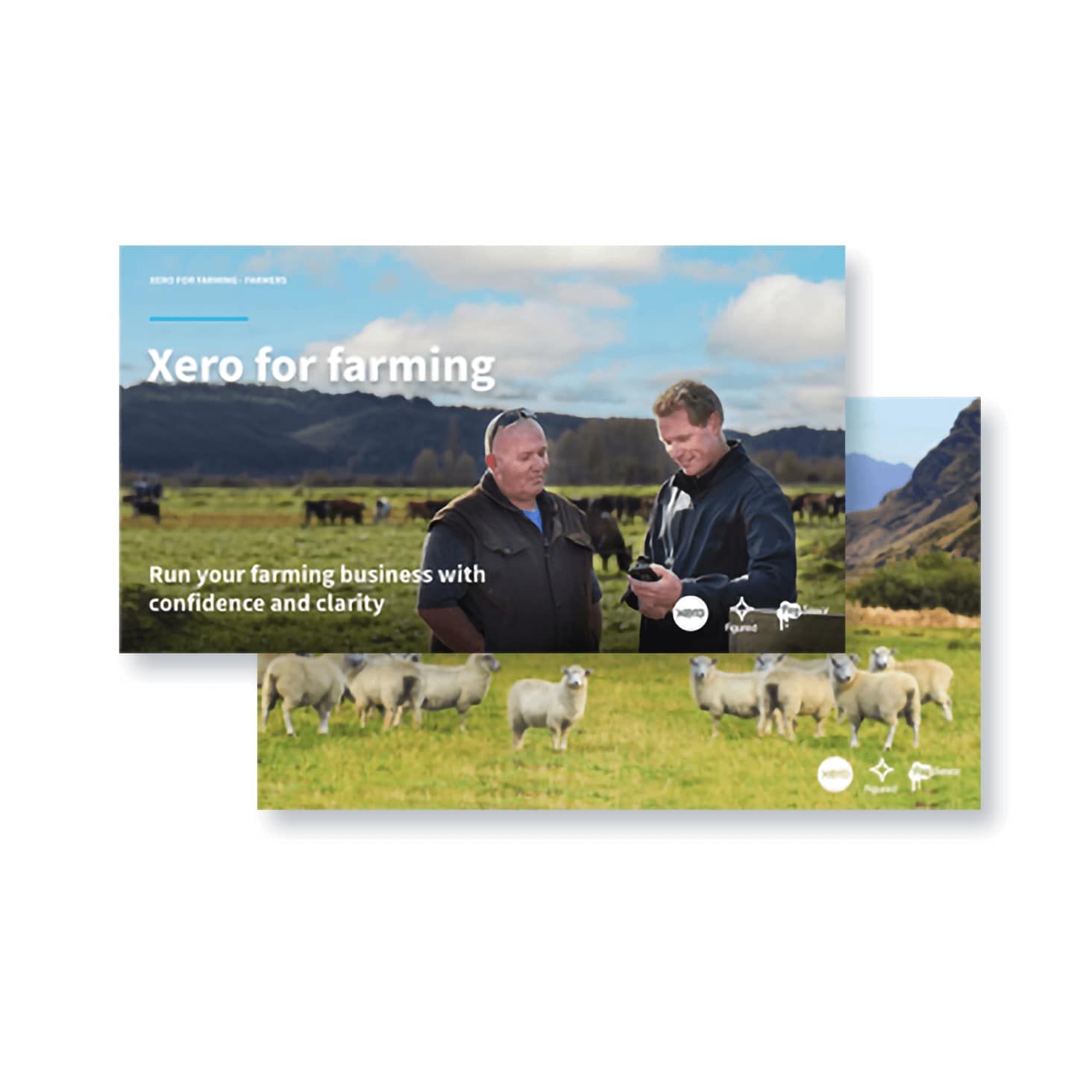 Two slides depicting a farmer and advisor in conversation, and a flock of sheep in a field.