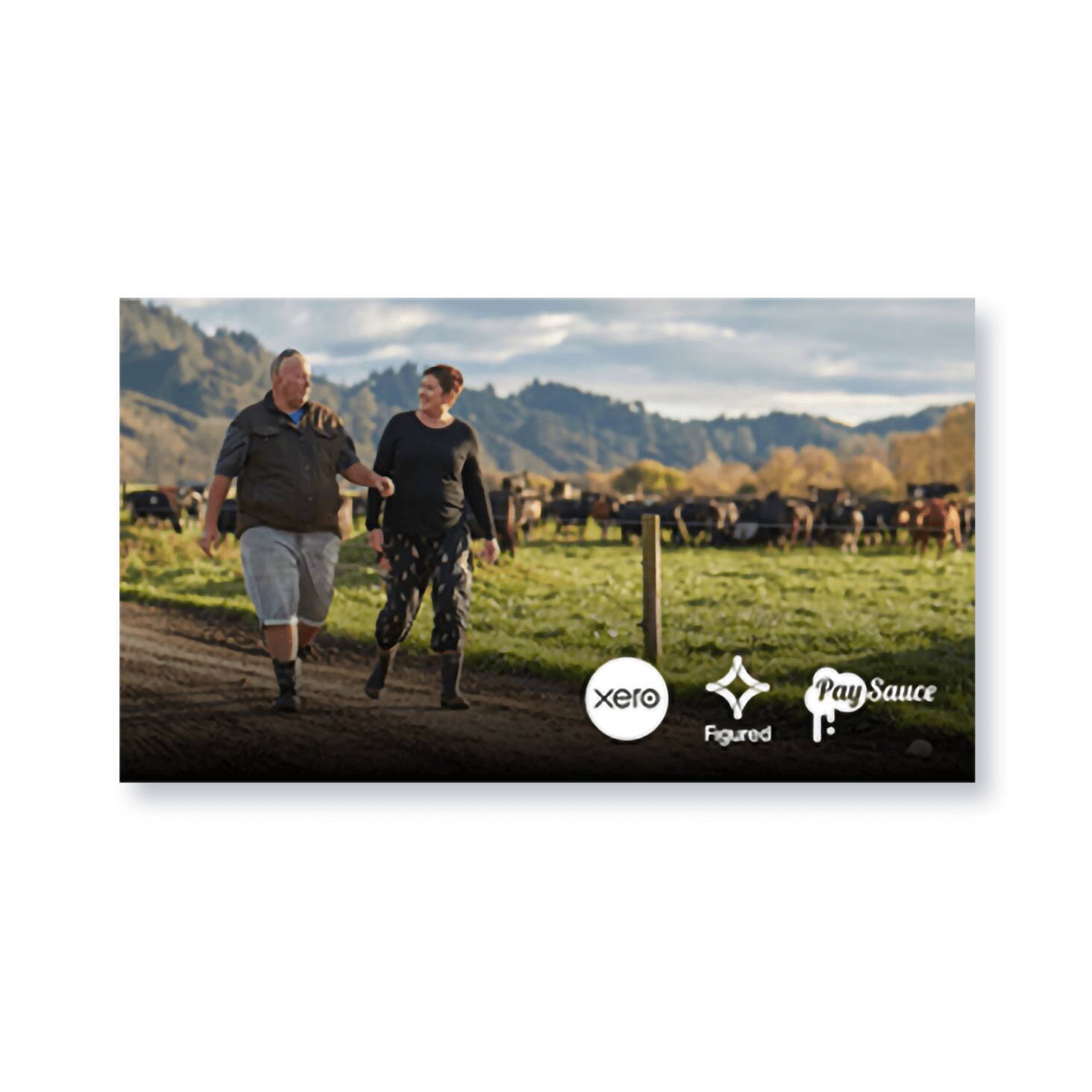 A social media tile featuring two farmers talking as they walk past a field of cows.