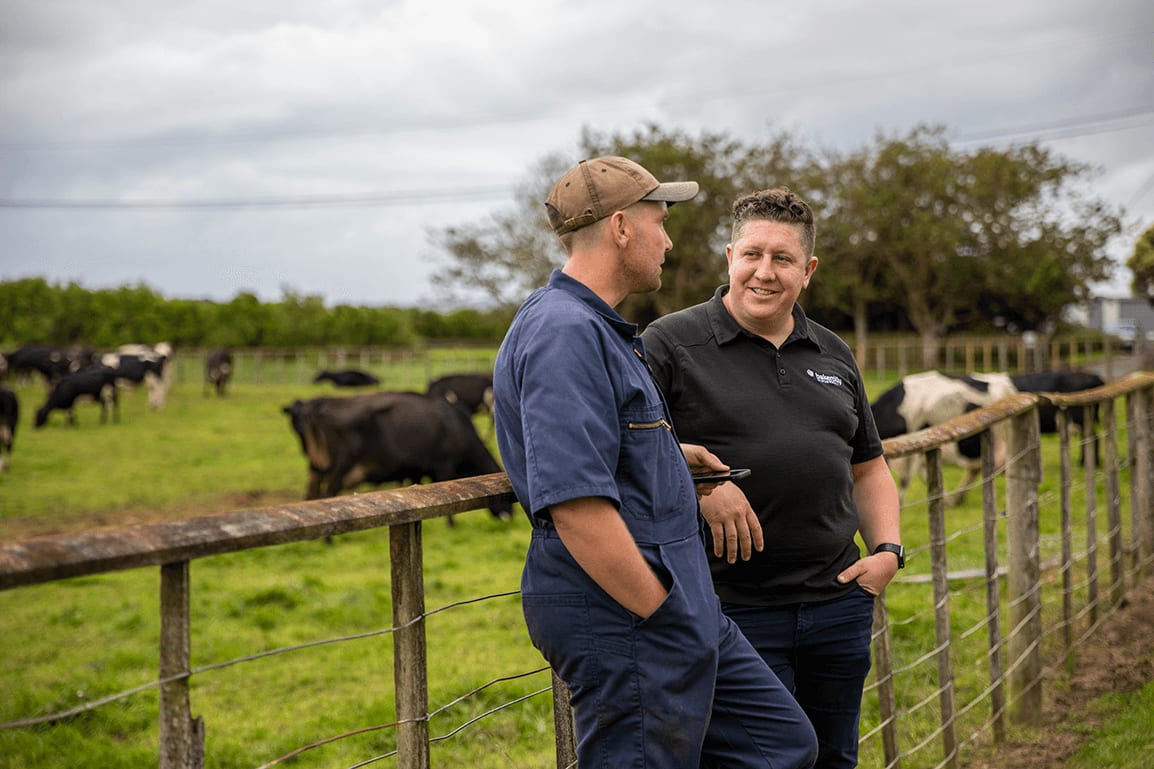  A farmer and their accountant discuss farm financials leaning against a fence, in front of a herd of cows. 