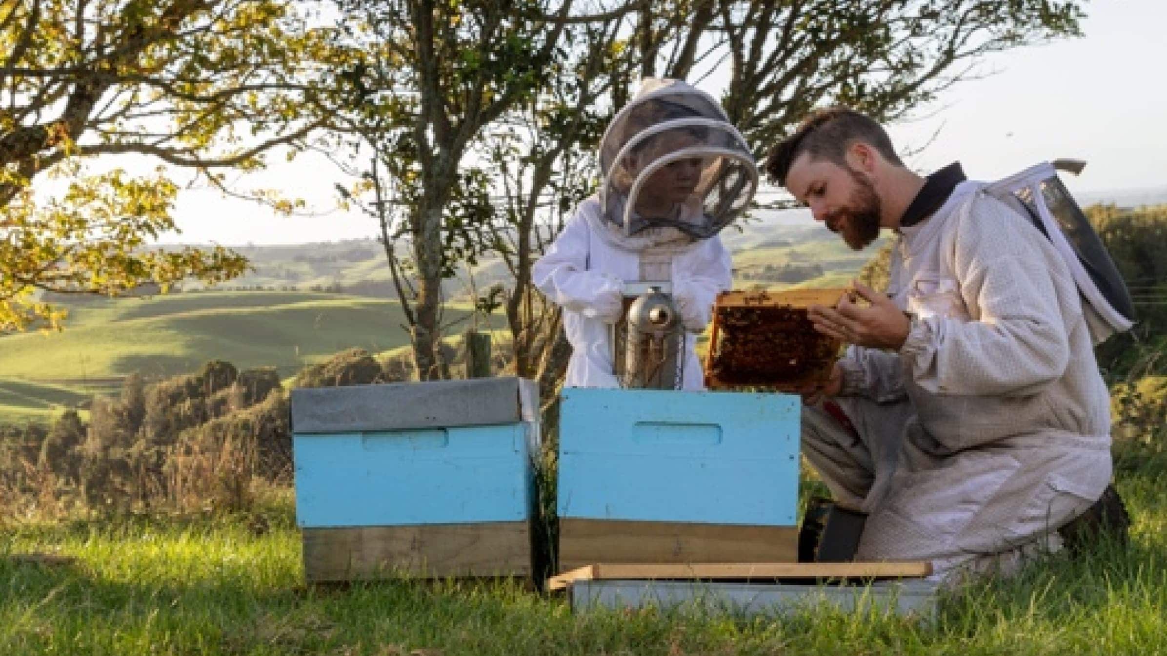 Rory O’Brien with his young son wearing protective suits while looking at their bee hives.