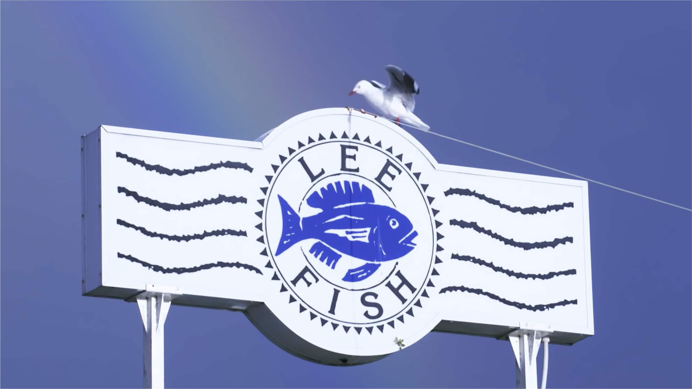 A Lee Fish company sign against a blue sky, with a seagull sitting on top.