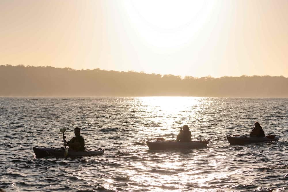 Chris from Sydney Kayaking Tours