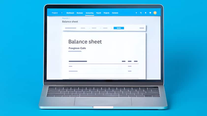 Laptop device with a balance sheet on screen.