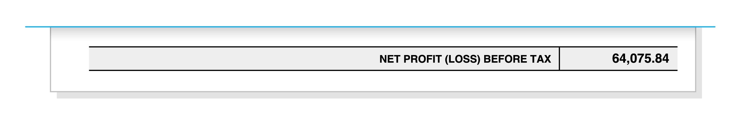 Row for overall profit or loss.