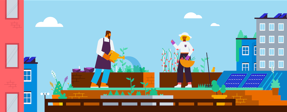 Two people gardening on a rooftop garden, one watering plants, the other filling a basket with tomatoes.