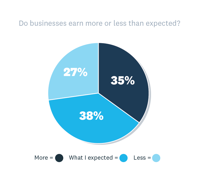 Do businesses earn more or less than expected: 35% say more, 38% say what they expected, 27% say less.