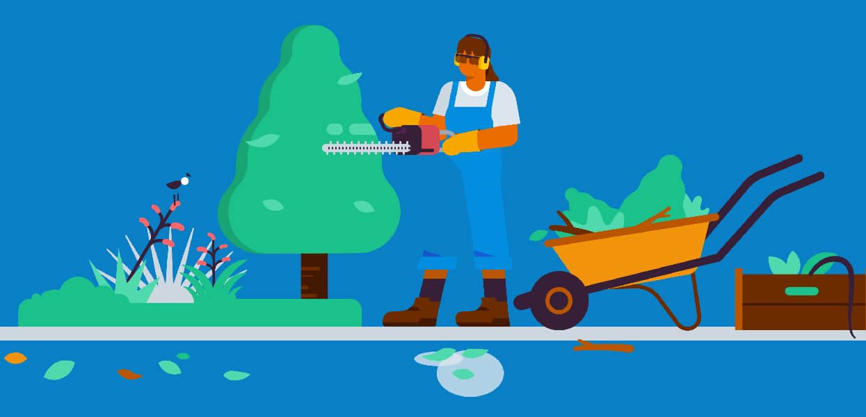 Gardener using a trimmer to shape a tree. 