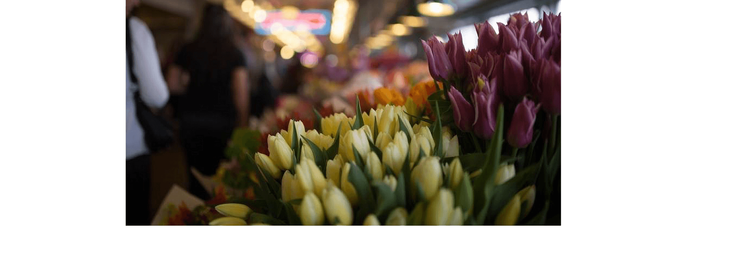 Different coloured bunches of tulips lined up in a warehouse.