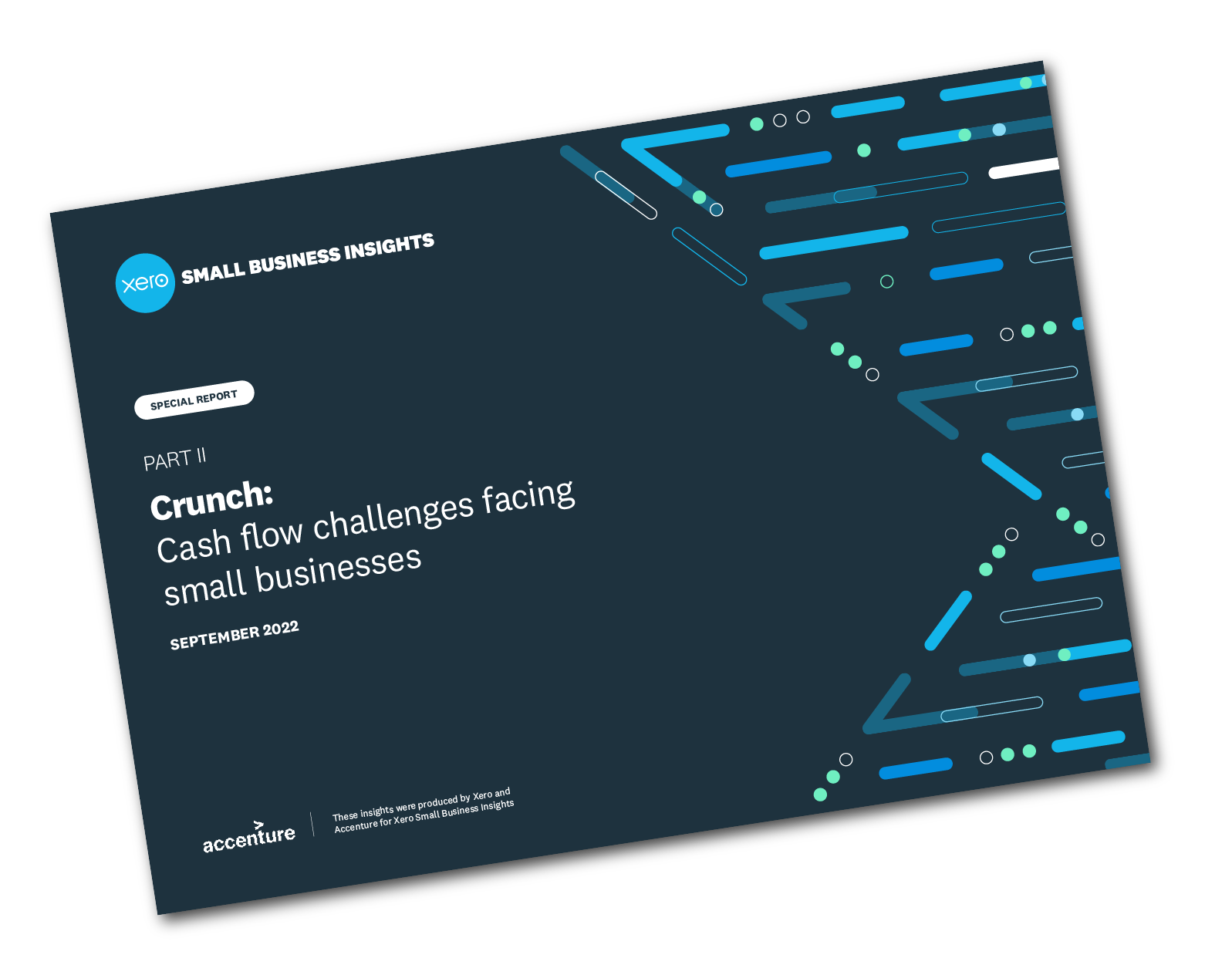 Cash flow challenges report