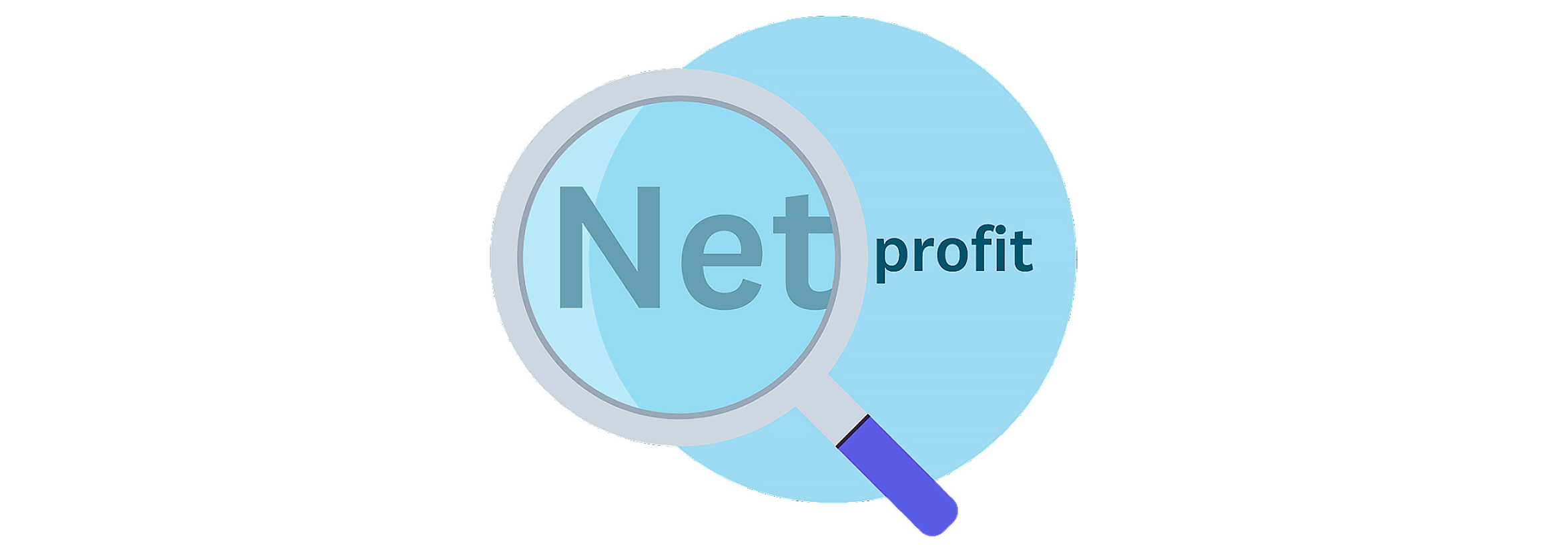 The words‘net profit’ began viewed through a magnifying glass.