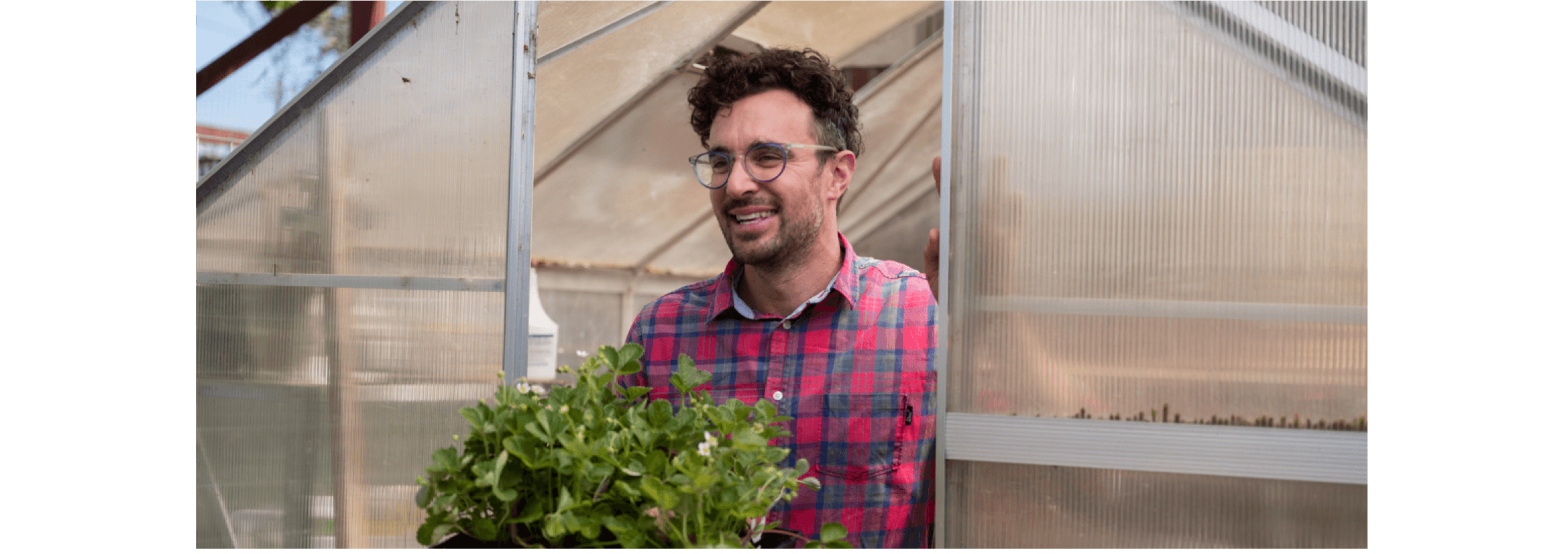 A small business owner leaves their greenhouse carrying several healthy green plants.