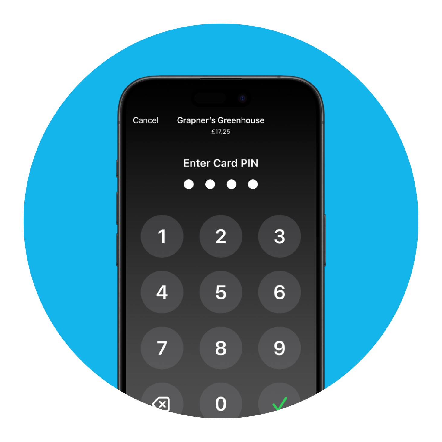 An iPhone display asking for a pin card to be entered.