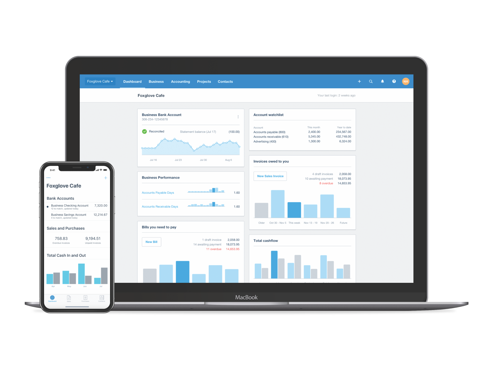 Xero dashboard showing real-time cash flow graphs with total cash in and out