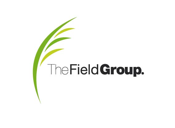 The Field Group - Accounting